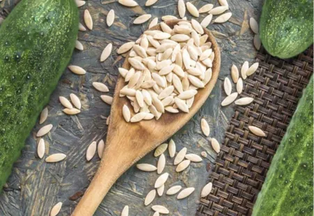 Cucumber Seeds