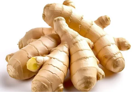 Ginger