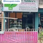 dr subhra chalki homoeopath